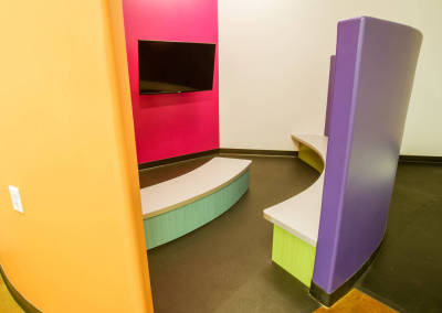 World Pediatric Dental 2017 Theater 2